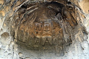 龙门石窟千年菩提花开