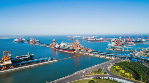 黄骅港煤炭运输现场