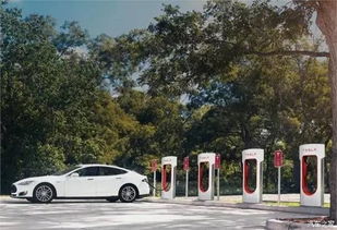 新能源汽车进入立体车库