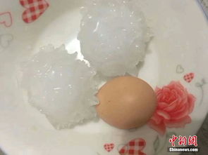 北京多地下冰雹，我亲眼目睹的那场‘天降弹珠’！