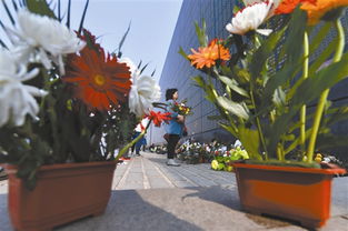 市民在地震遗址前献花并低头默哀