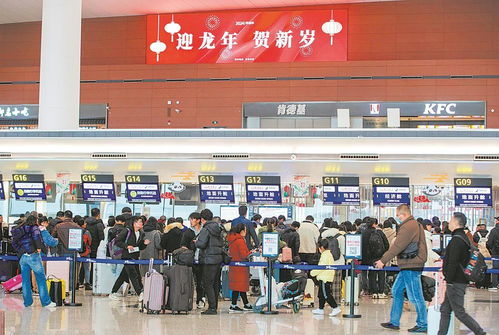 浦东机场退税窗口人头攒动