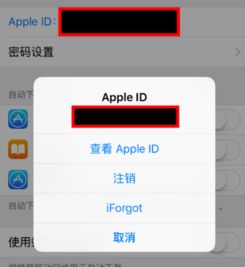 手机上显示陌生应用下载界面