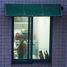 一地鸡毛—一个中年男人的日常20250514