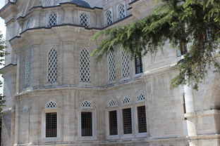 俄乌伊斯坦布尔谈判今日开始，我为何如此关注这场和谈？