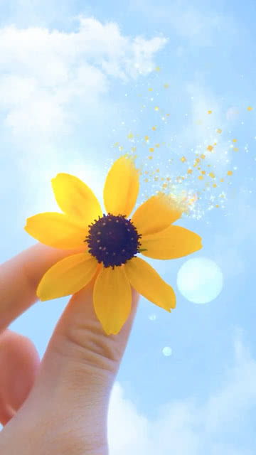 生如夏花，死如秋水——我与泰戈尔的诗意邂逅