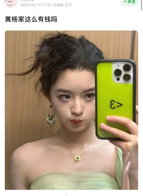 黄杨钿甜耳环风波发酵，雅安纪委监委回应引热议