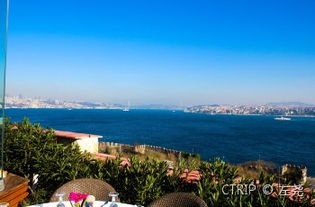 伊斯坦布尔博斯普鲁斯海峡风景图