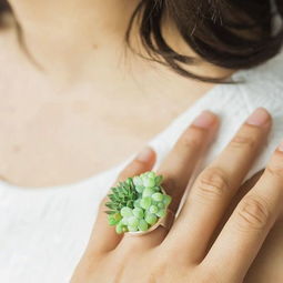 女演员戴230万耳环引热议，纪委回应揭开家庭背景真相