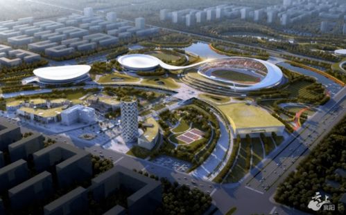 粉丝在襄阳奥体中心外合影留念