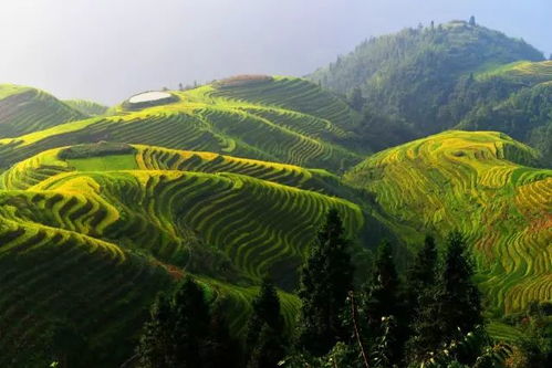 那里景色很美，风很温柔，人很善良——一场与心灵的慢旅行
