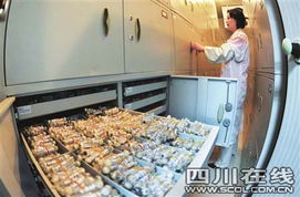 显微镜下的新微生物样本