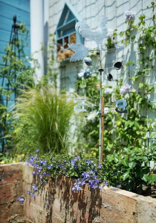 茉莉花盛开在阳光下