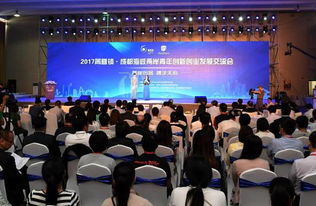 两岸青年在成都交流活动现场