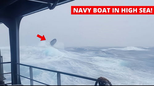 《鲨鱼：风暴》金玟锡 vs 李贤旭！当「孤胆少年」撞上「风暴反派」，谁能活到最后？