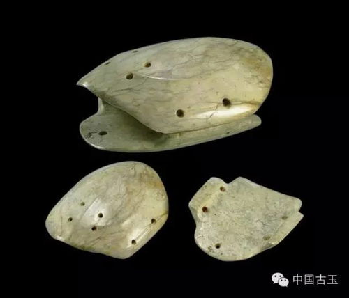 玉龙与玉龟组合文物图