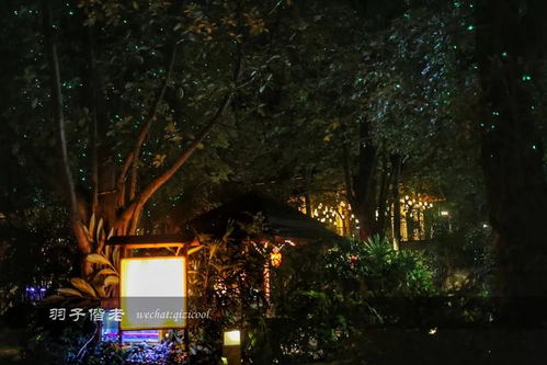 夜晚山林间的灯光与书本静物