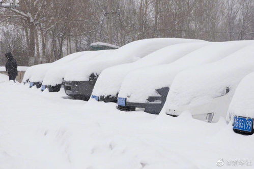 暴雪天气下机场跑道清理作业