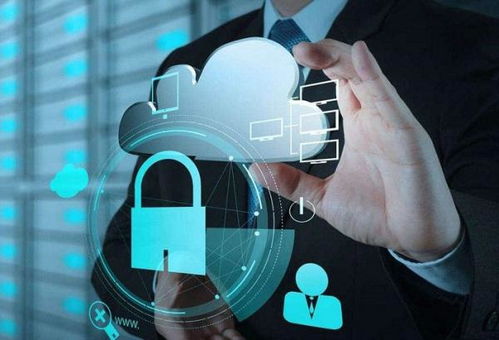 网络信息安全概念插画,象征隐私保护的盾牌与锁