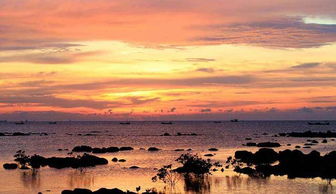 夜晚的海口古盐田