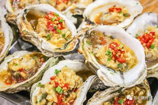 盐渍月光：海口琐事标本集｜一场滨海小镇的味觉与记忆之旅