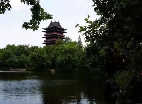 初春公园里人们打太极