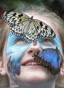 博主与蝴蝶共舞的正面拍摄画面