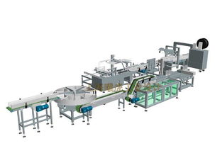 井盐成品包装生产线