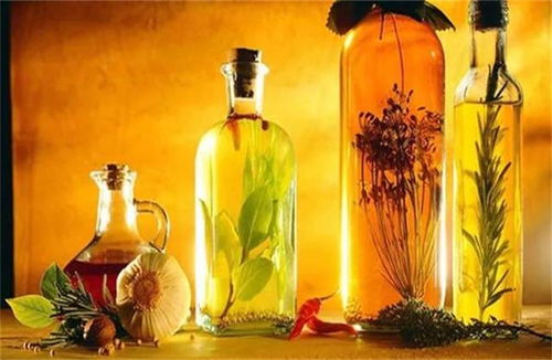 泡药材的玻璃瓶与白酒摆放