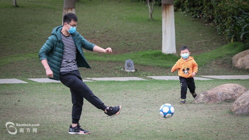 一群年轻人在草坪上野餐的场景