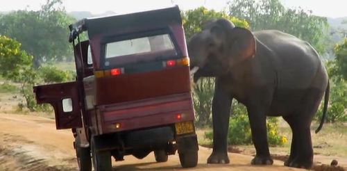 当地村民热情地与游客打招呼