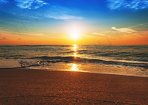 夕阳下两个背影牵手走过林荫小路