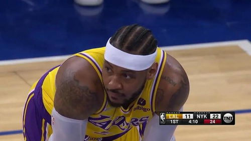 尼克斯主场球迷激情欢呼