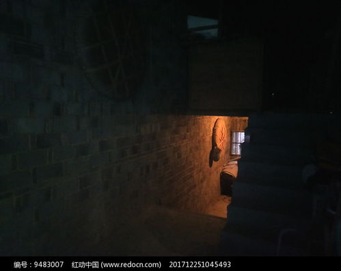 白夜行书籍摆放