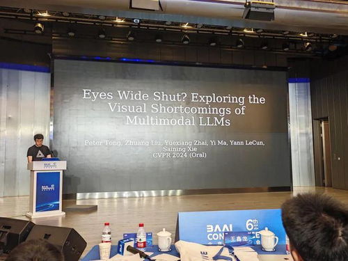 谢赛宁在会议上演讲的照片