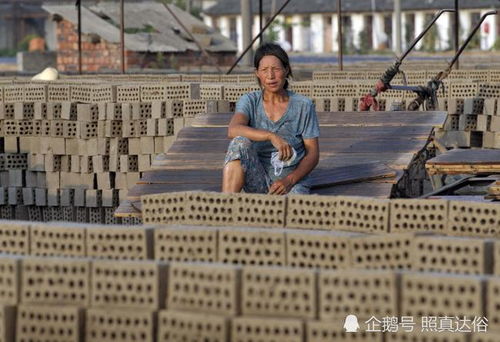 女工在烈日下劳作