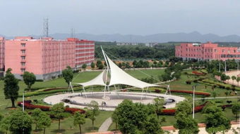 北京某学校新建的室内体育馆内部场景