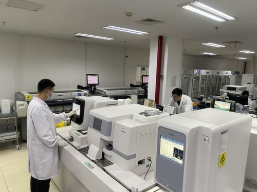 医疗检测实验室工作场景