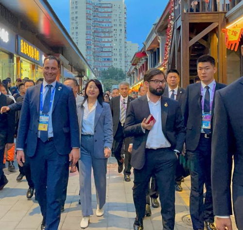 博里奇总统在潘家园夜市参观