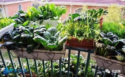 母亲节送礼新思路｜这些走心礼物，妈妈一定会喜欢！