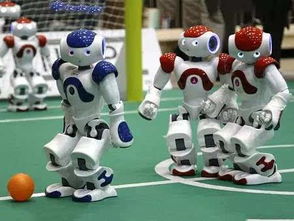 击剑机器人对战场景