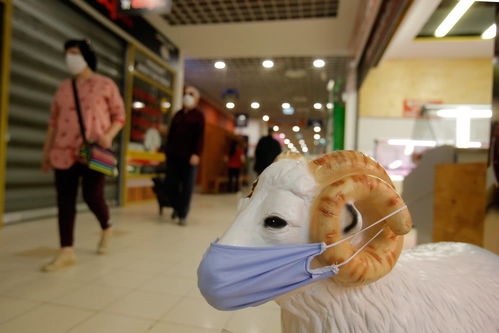 家庭成员佩戴口罩居家生活场景