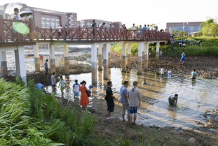 剧评写作（21/100）：《放牛班的春天》——用音乐唤醒沉睡的灵魂