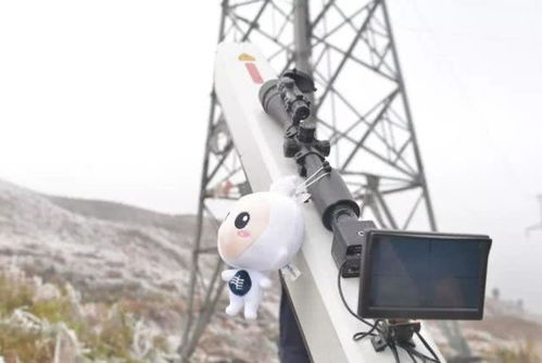 广东一公司用“激光炮”修剪树木，科技感爆棚？