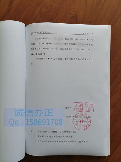 亲子鉴定报告