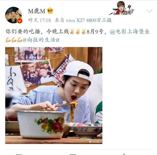 陈赫集齐了所有蘑菇屋，网友：他是《向往的生活》的‘精神股东’？