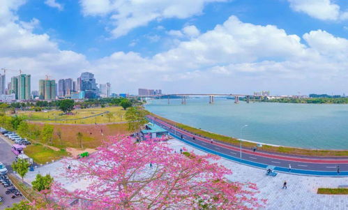 江门西江碧道绿意盎然的步道