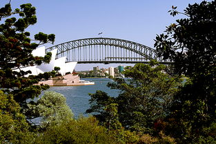 悉尼皇家植物园中的原住民文化展示