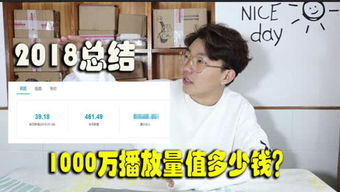 Bin哥骗我们？百万UP主波桑吃遍世界遭遇25万诈骗事件全记录