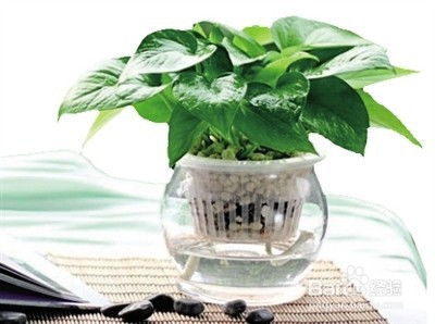 【三重疗愈力】一键重启你的身心能量